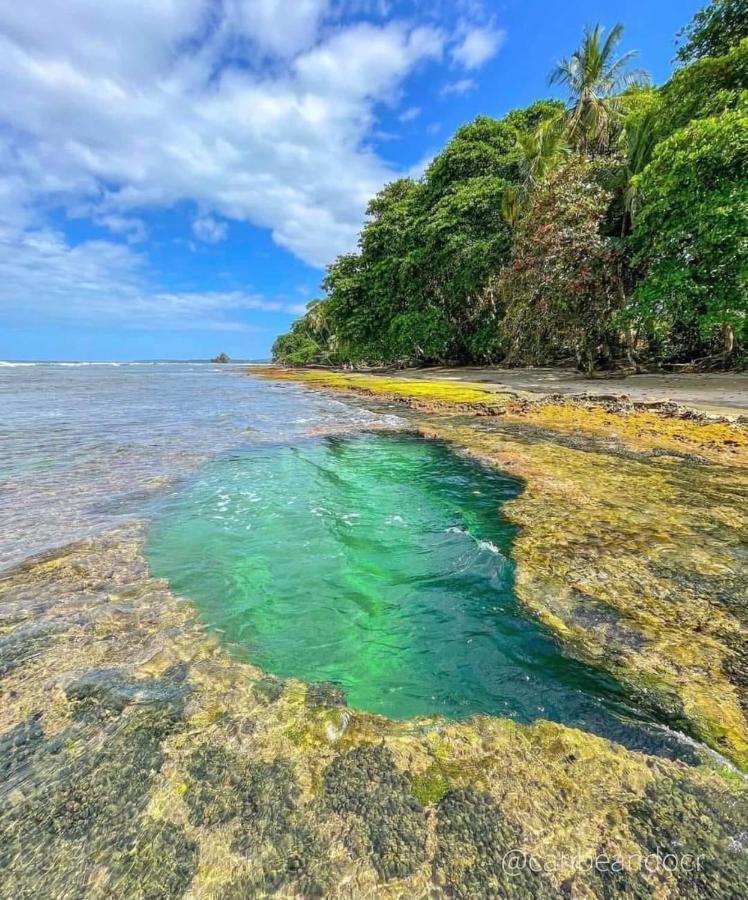 Casa Mar Villa Puerto Viejo de Talamanca Bagian luar foto